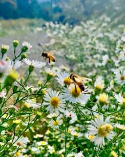 Stock up on what’s left of our summer ale while there’s still some glimpses of s