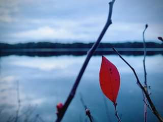 π With the last few leaves of autumn letting go, guess which pilot series beer m