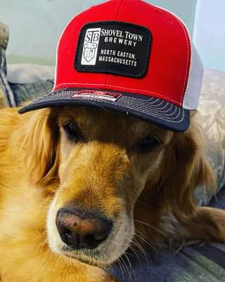 Stay golden. Grab A Shovel. #grabashovel